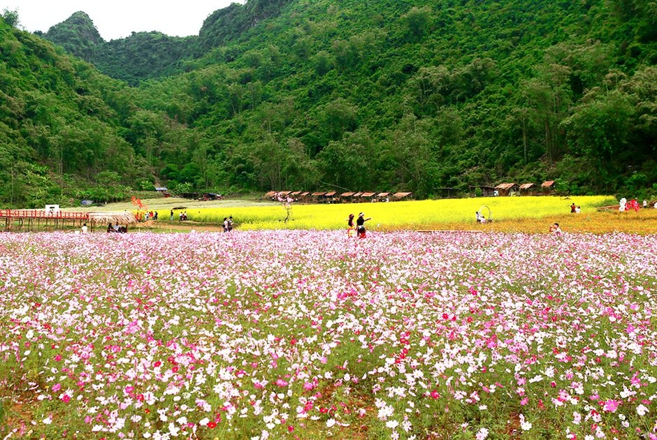 Autumn Festival set to enliven Bac Ha mountains